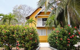 Golden Frog Hostels